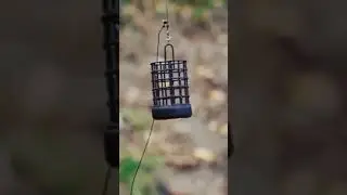 16 сентября 2023 г.