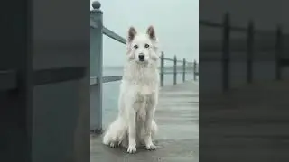 как изменилась Луна за время