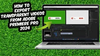 How to Export Transparent Videos from adobe Premiere Pro 2024