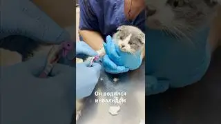 Дэнни НЕ СОБРАЛИ❌