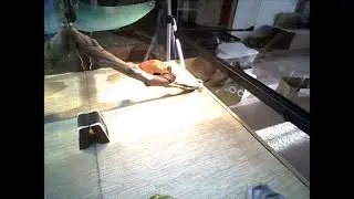 MyStream 2