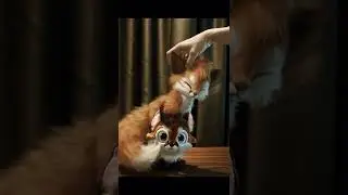 #furry