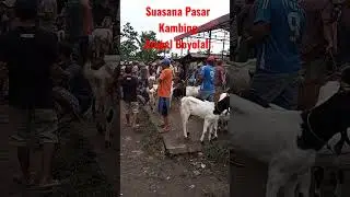 Pasar kambing ampel Boyolali #shorts #pasar #kliwon