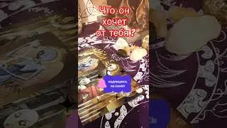 🤔 ЧТО ОН ХОЧЕТ ОТ ТЕБЯ, ЧТО ЕМУ НУЖНО ОТ ТЕБЯ? 