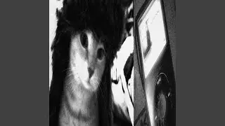 фруктовый 1.0
