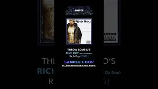 Throw Some D's - Rich Boy (Original Sample Loop)
