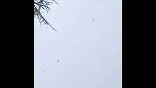 Introducing my Best Friend to You! Snow and Funko Pop Photos