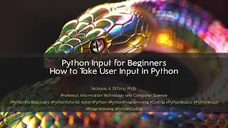 Python Input for Beginners | How to Take User Input in Python - 012023A02
