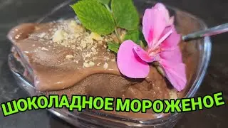 Chocolate Ice Cream. Incredibly Delicious!!!