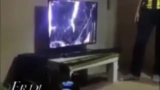 Fenerbahçe mini mini bir kuş donmuştur