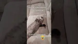 Послепраздничный эффект))🤣🤣