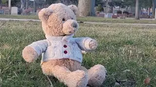 Join me on a peaceful Spring evening walk & bike ride to the cemetery & woods at Sunset ☀❤