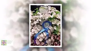 Эксклюзивная новинка - гортензия Сбежавшая Невеста