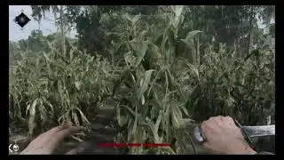 Random 3's Could have ended better - Hunt:showdown