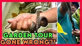 Garden Tour Gone Wrong! So Scary!