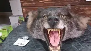 САМЫЙ БОЛЬШОЙ МАГАЗИН ОРУЖИЯ! 13 КАЛИБР!! Я ПРОСТО В ШОКЕ!!