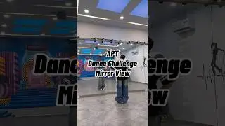APT Dance Challenge | Tiktok Tutorial | Mirror View 