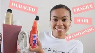 The BEST Products for Damaged Transitioning Curly Hair | Zig Beswick