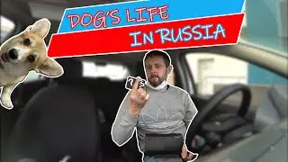 Business in Russian