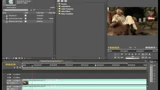 Premiere Pro: Zoom In, Re-frame, Scale or Re-position a Clip in the Program Window