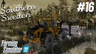 | Singelplayer On Southern Sweden |Forestry 2| Ep:16| Fs22