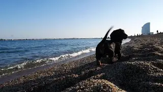 Spanish Coast - Sound of the waves at the Platja de la Barceloneta in Barcelona.
