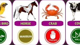 100+ Halal and Haram Animals Meat in Islam