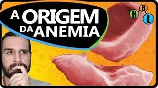 A ORIGEM DA ANEMIA! 
