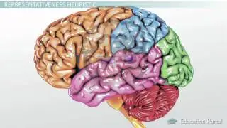 Types of Heuristics Availability, Representativeness & Base