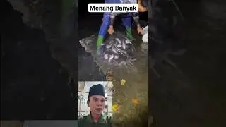 Sekali Ciduk Dapet Berkilo kilo ikan 🤣😅🤣