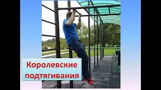 Королевские подтягивания (Челендж). Пауза в верхней и нижней точке.