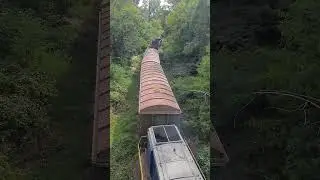 Поезд на Берестейской 2023