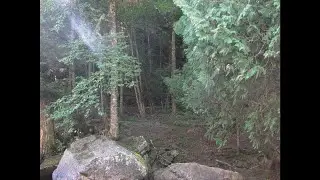✦ free *raw* sad acoustic indie / no drums folk type beat 