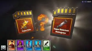 Nailer or Vindertech? Amazing b-day Llama opening - Smorgasbord llama Birthday free tickets fortnite
