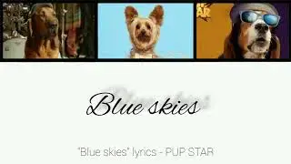 "Blue Skies" lyrics - PUP STAR
