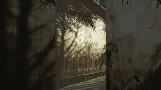 #🐦