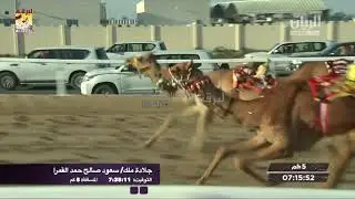 ملخص أشواط اللقايا العامة بالمحلي السابع (صباح) ١٤-٢-٢٠٢٠