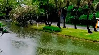 Rainy Day || Sawan in SUSTech 😅🤗
