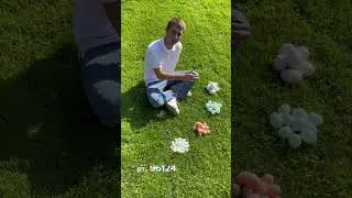 ПОДКЛАДНЫЕ ЯЙЦА ДЛЯ ГУСЕЙ, УТОК, КУР И ГОЛУБЕЙ