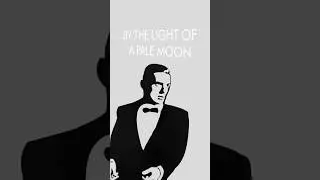 Falco - "Tut-Ench-Amon (Tutankhamen)" | Lyric Video #shorts #falco #hanshölzel