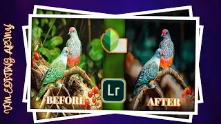 Background Blur Editing In Snapseed | How To Remove Background | Lightroom Free Presets Download