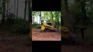 Dirty Dawgz Land Management: with the DML/SSL/BL forestry mulcher #landclearing #shorts