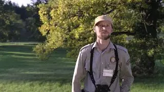 Come cambia la natura nel corso delle stagioni? Progetto di fenologia con i Rangers svizzeri.