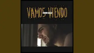 Vamos Viendo