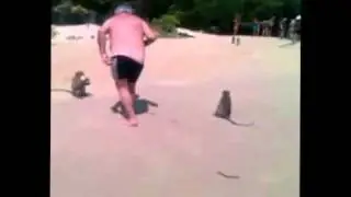 нудистконтрол