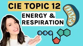 Energy & Respiration Topic 12 ENTIRE topic for CIE A-level