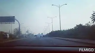 Palm Trees Along.the Way