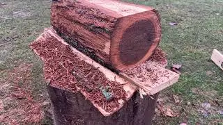 Backyard Milling with Stihl MS170