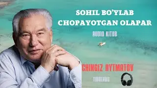 AUDIO KITOB. 