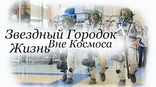 Звездный Городок Жизнь вне Космоса. Аппликатор в Подарок Мангал своими руками Копченый судак и Арбуз